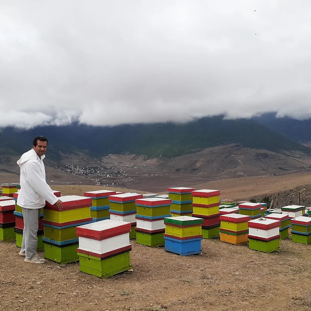 عسل طبیعی کوهستان ایران مازندران 